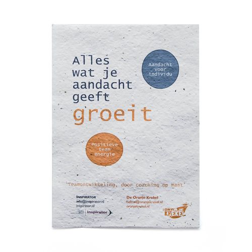 Samenpapier DIN A5 | 200 g/m² - Bild 4