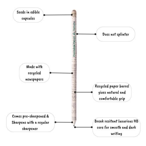 Blüh-Bleistift aus recycelten Zeitungen - Bild 3